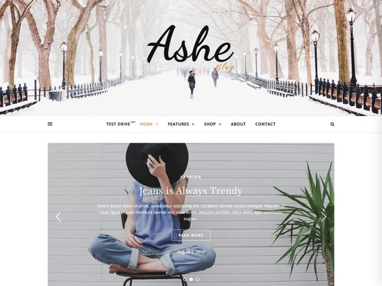 Ashe Free theme