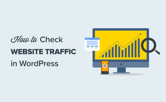 website traffic