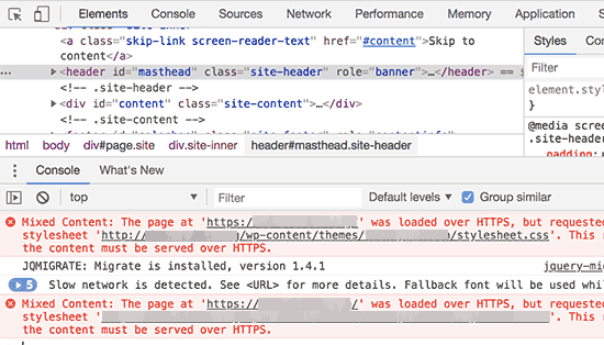 WordPress Speed