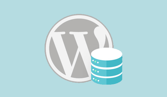 WordPress Speed6