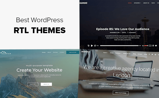 The 21 best RTL WordPress templates