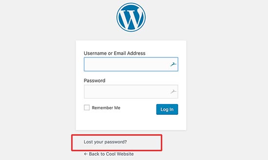 the 401 error in WP
