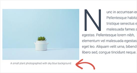 guide to SEO on photos