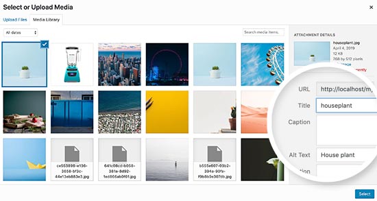on photos