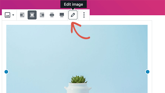 Beginner's optimization SEO on photos