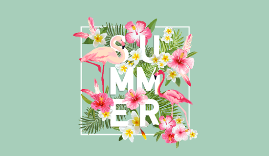 image compression plugins