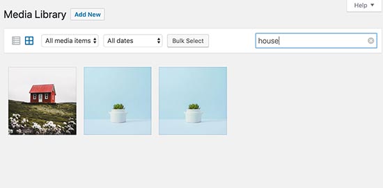 SEO on photos