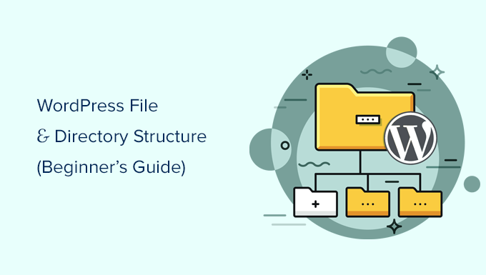 A Beginner S Guide To Wordpress Files And Directory Structure Dr